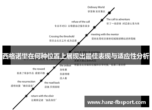西格诺里在何种位置上展现出最佳表现与适应性分析