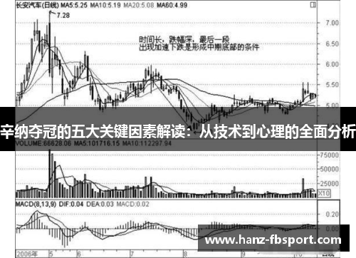 辛纳夺冠的五大关键因素解读:从技术到心理的全面分析