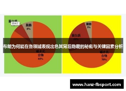 布朗为何能在各领域表现出色其背后隐藏的秘密与关键因素分析